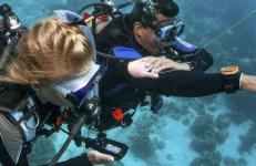 HAPPY DIVERS, s.r.o. 